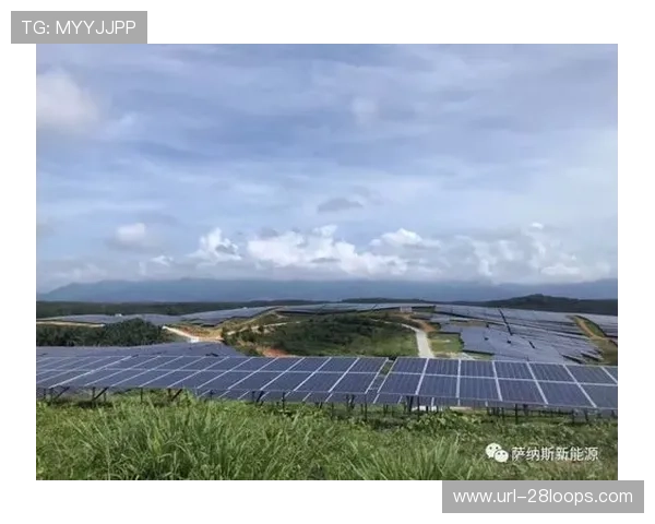 意甲国际环保项目，跨国合作倡议